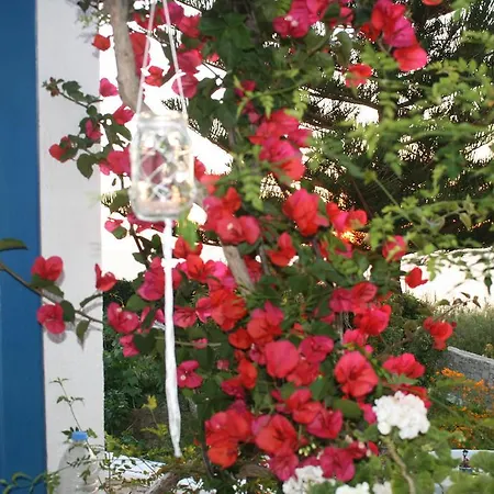 Flora's Apartament *