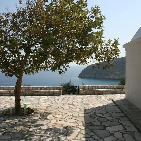 フローラズ Apollon