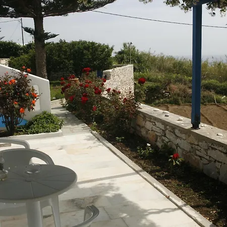 Flora's Apollon (Naxos)
