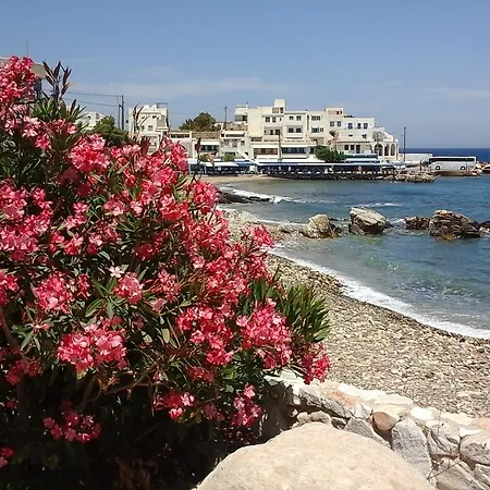 Flora's Apollon (Naxos)