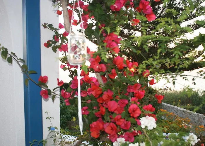 フローラズ アパート *