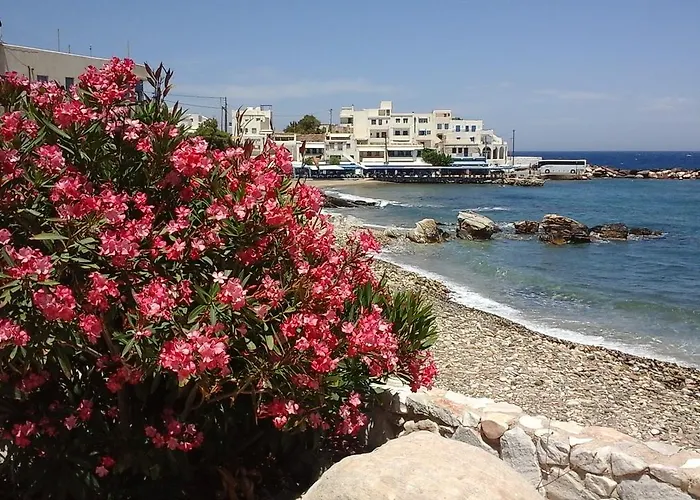 フローラズ Apollon